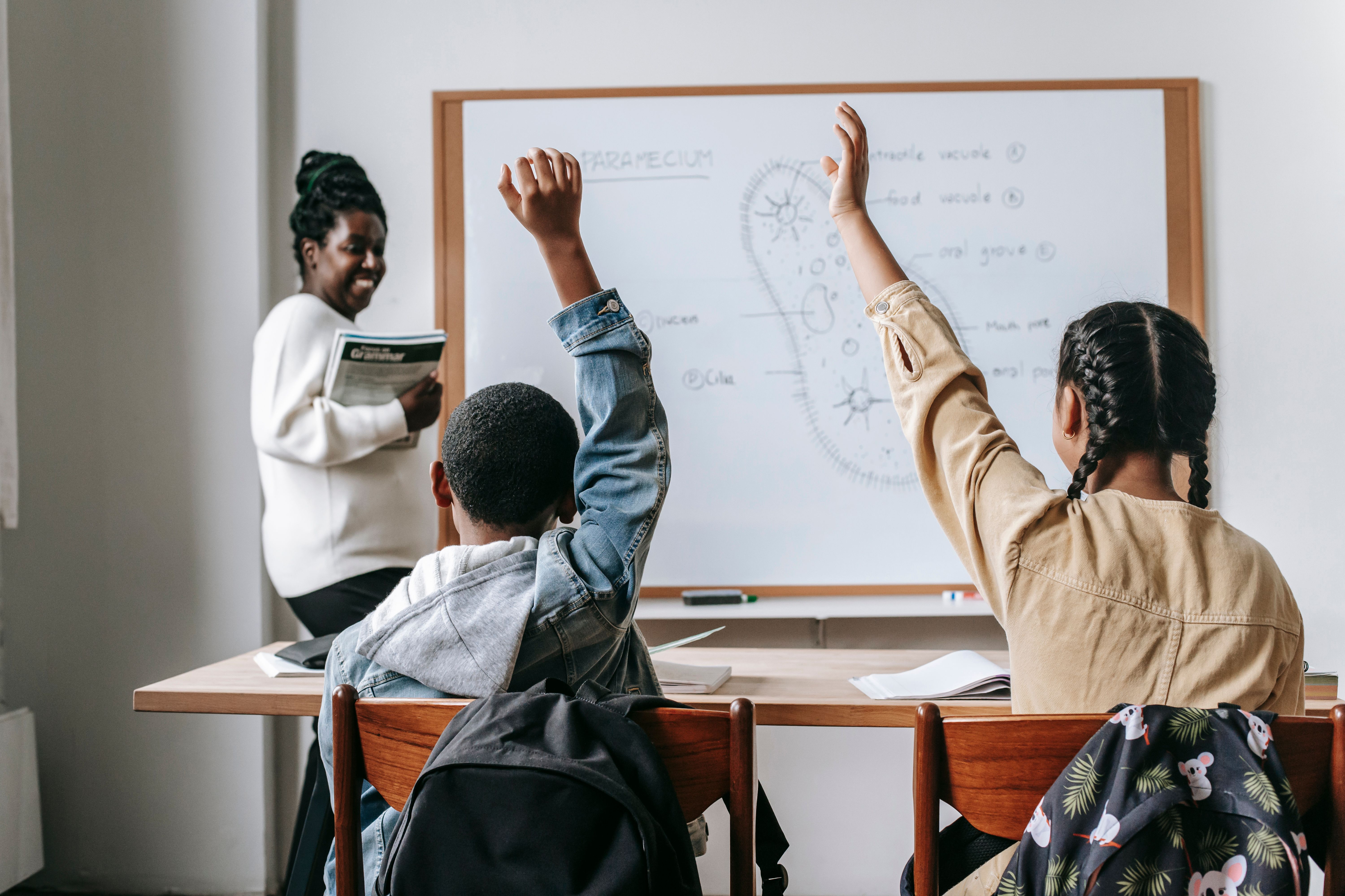 Estudiantes, docentes y equipos institucionales